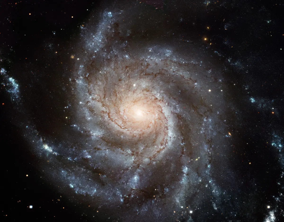 Spiral